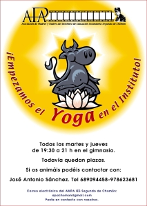 yoga cartel[1]